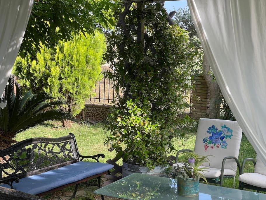 Mama'S Sunshine Garden Villa Agios Ilias  エクステリア 写真