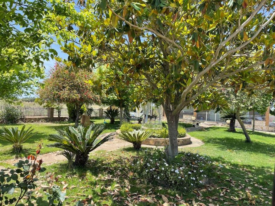 Mama'S Sunshine Garden Villa Agios Ilias  エクステリア 写真