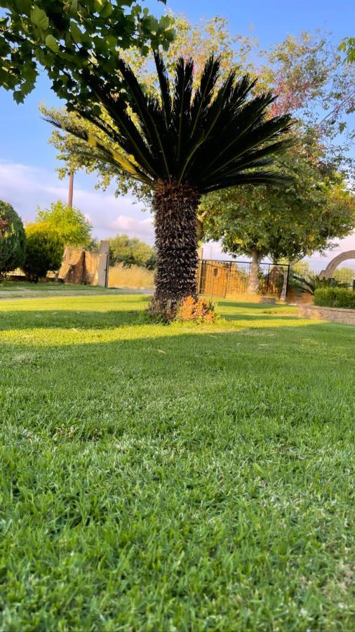 Mama'S Sunshine Garden Villa Agios Ilias  エクステリア 写真