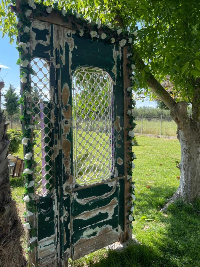 Mama'S Sunshine Garden Villa Agios Ilias  エクステリア 写真