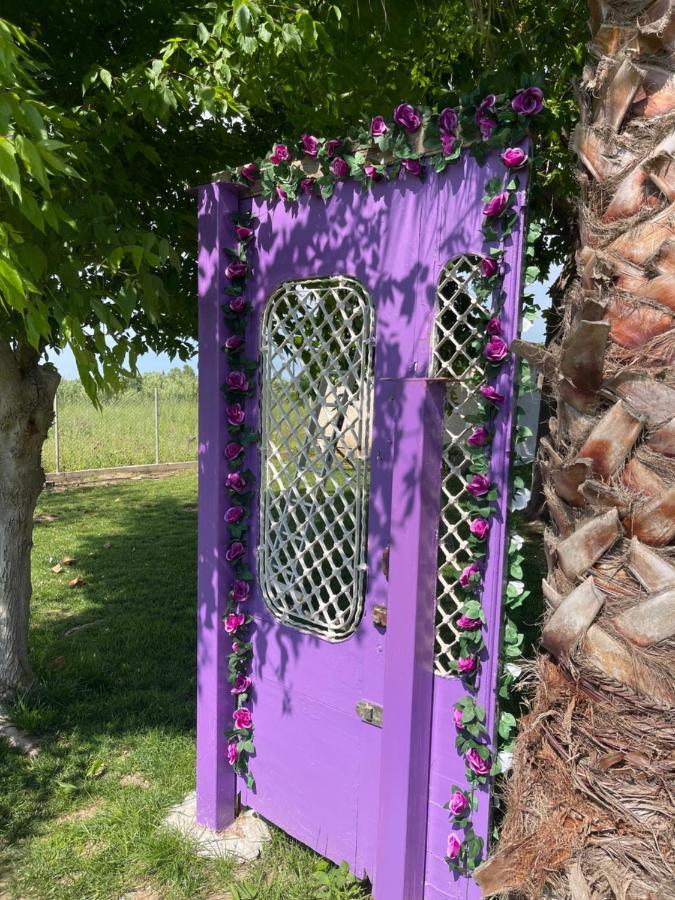 Mama'S Sunshine Garden Villa Agios Ilias  エクステリア 写真