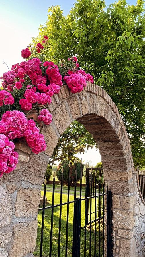 Mama'S Sunshine Garden Villa Agios Ilias  エクステリア 写真