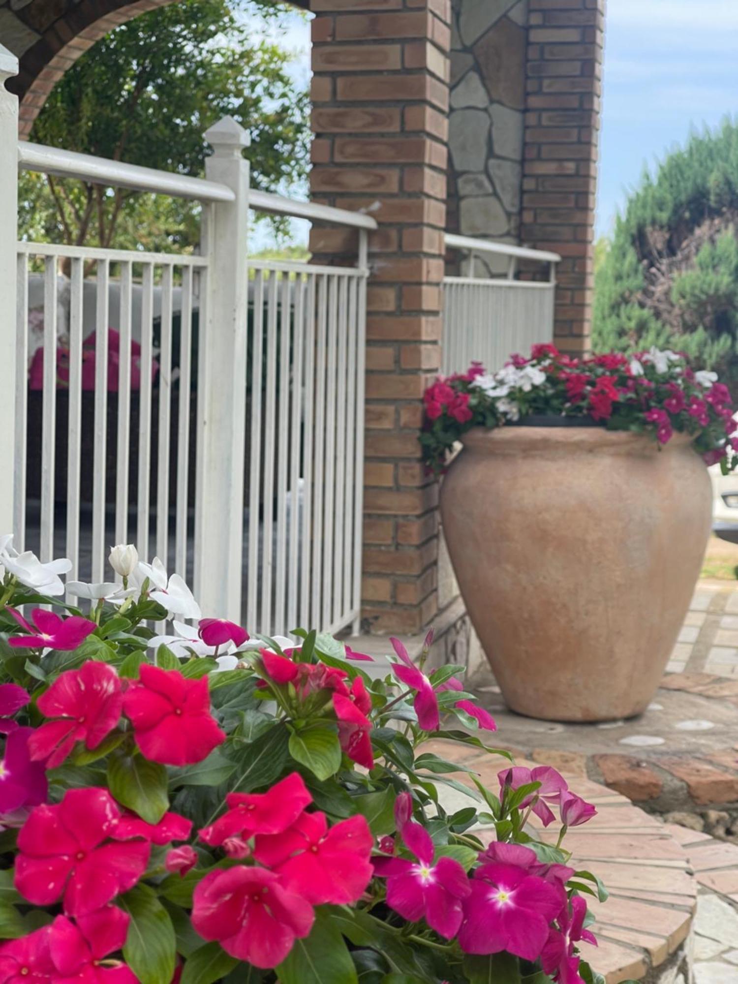 Mama'S Sunshine Garden Villa Agios Ilias  エクステリア 写真