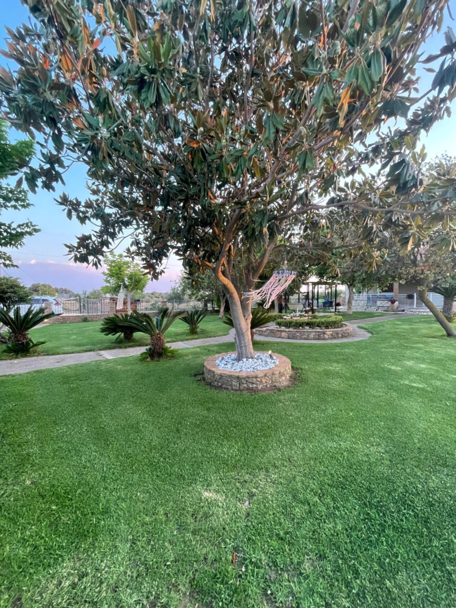 Mama'S Sunshine Garden Villa Agios Ilias  エクステリア 写真