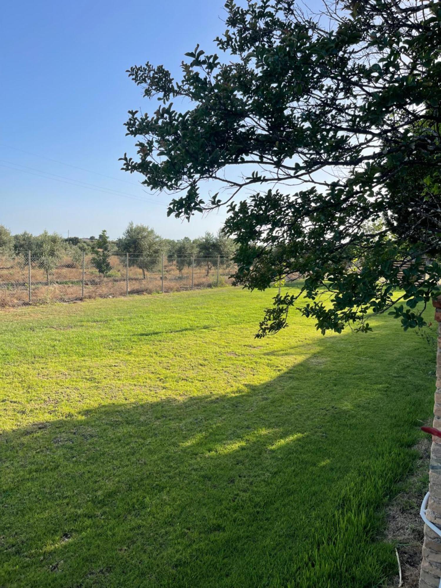 Mama'S Sunshine Garden Villa Agios Ilias  エクステリア 写真